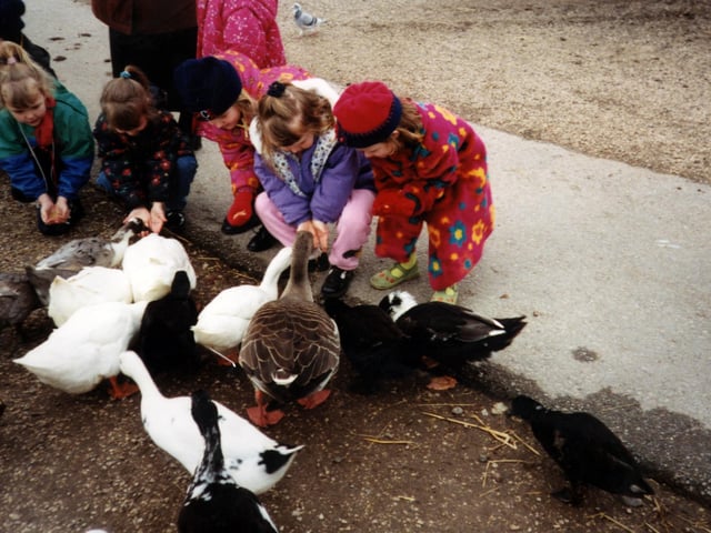 Can you spot yourself feeding the ducks in 1998?
