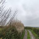 Access to the proposed site would come of the existing track in Mawkin Lane. Photo: Google