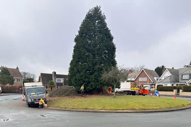 Nottinghamshire County Council carrying out work to clear the bushes on the grassy area on Dorchester Close.