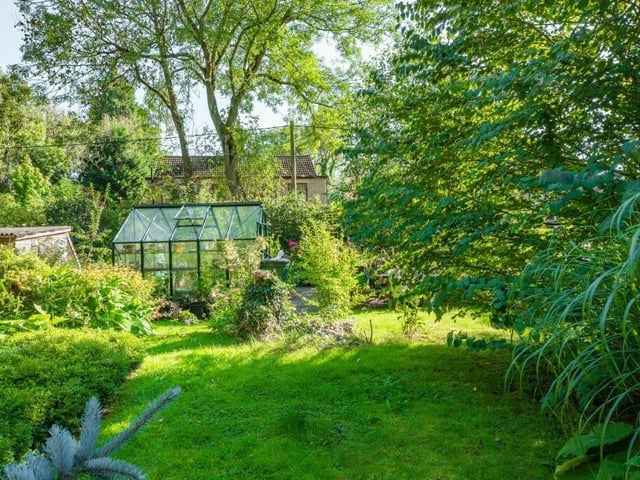 Greenery everywhere for the green-fingered gardeners among you.
