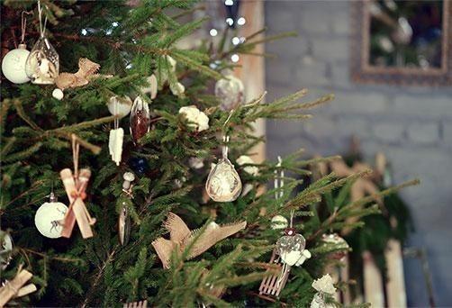 Old Orchard Nursery Shirebrook, on Common Lane, sell real Christmas trees. To get in touch, call 01623 742513.
