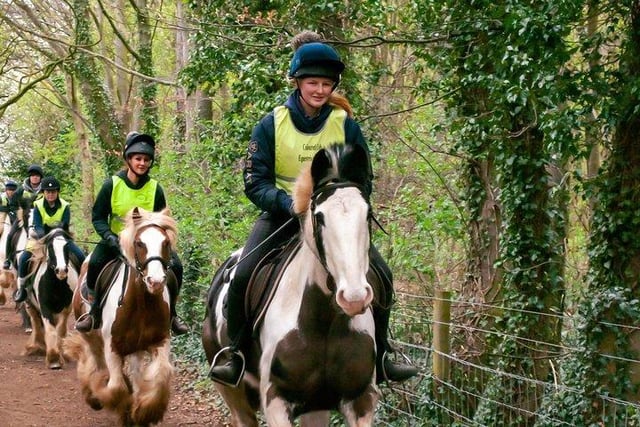 Pony trekking at Creswell Crags near Worksop was a popular attraction, recommended on TripAdvisor. The sessions are run by Coloured Cob Equestrian Centre - providing quality horse riding tuition as well as  off road hacking and trekking opportunities. For more information, see colouredcob.co.uk