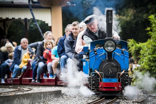 Abbeydale Miniature Railway is run by the Sheffield and District Society for Model and Experimental Engineers - families can ride on mini steam trains that travel round a proper track in Ecclesall Woods.