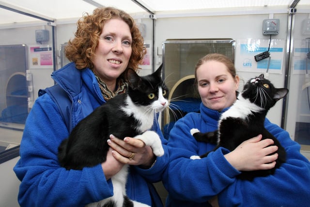 2007: Debbie Heathcote and Vicki Green from Cats Protection at Nuthall hold two cats who were looking for a new home.