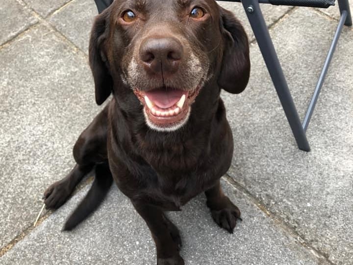 Molly