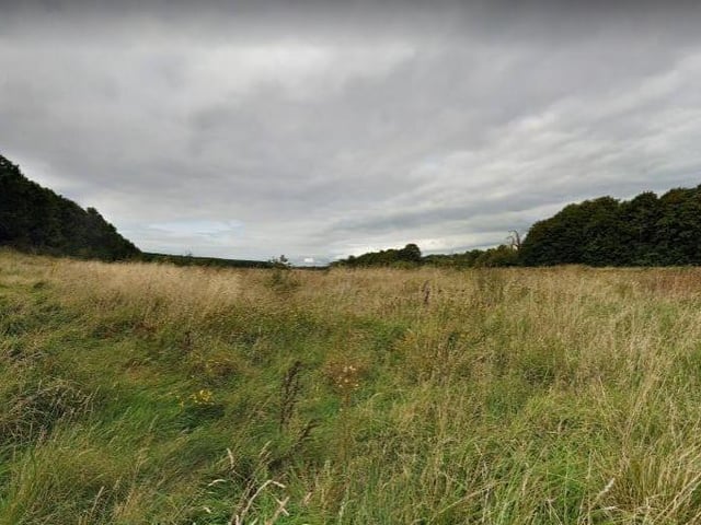 The Shirebrook Wood Walk is a picturesque 4.3 kilometre loop trail located near Mansfield. Perfect for a family walk on a fresh spring day.