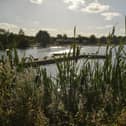 Kings Mill Reservoir - Sutton
