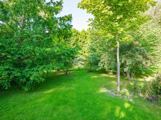 The gardens at the Newstead Abbey Park property are peppered with lovely trees and grassed areas.