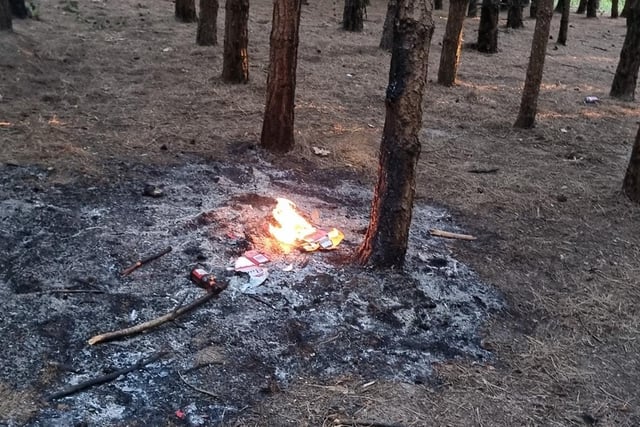 Embers not fully extinguished reignited in Sookholme Woods.