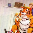 The Tiger Who Came To Tea is coming to Mansfield Palace Theatre later this year (Photo by Pamela Raith Photography)
