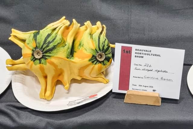 Carolin Banton's winning entry in the fun shaped veg category. Photo: Lesley Grand-Scrutton