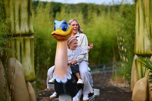 WILD Ostrich Safari Ride at Sundown Adventureland