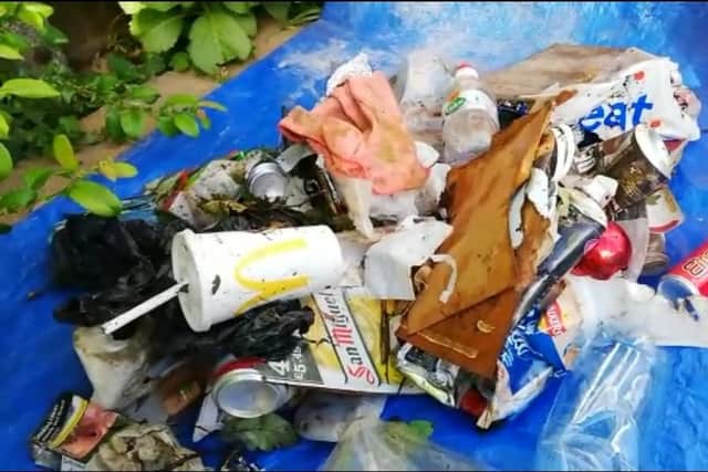 Just some of the litter collected by the Mayor this morning
