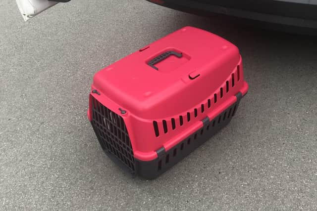 The cat was found dumped like rubbish in a cat carrier