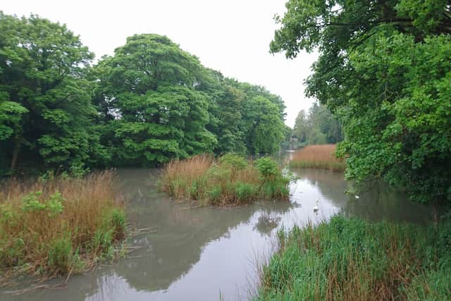Image: The Hermitage Nature Reserve - Mansfield (Facebook).