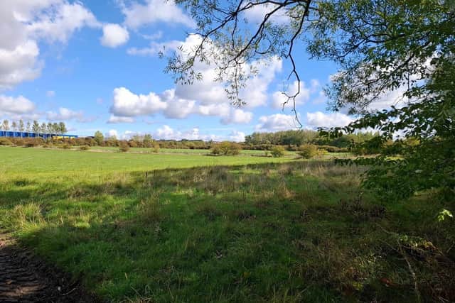 Land at the former Bennerley Coal Disposal Point near Bennerley Viaduct has been included in the plans. Photo: Awsworth & Neighbours Residents' Association