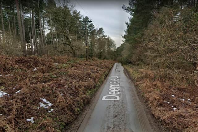 Deerdale Lane, Sherwood Forest.