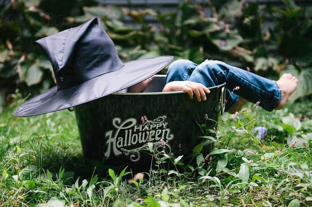 The half-term holiday is in full swing and Halloween is on its way. So sit back and enjoy our guide to things to do and places to go this weekend in your area.