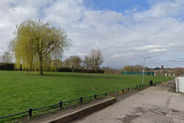 A summer festival will take place at Coronation Park as part of the festival. Photo: Google