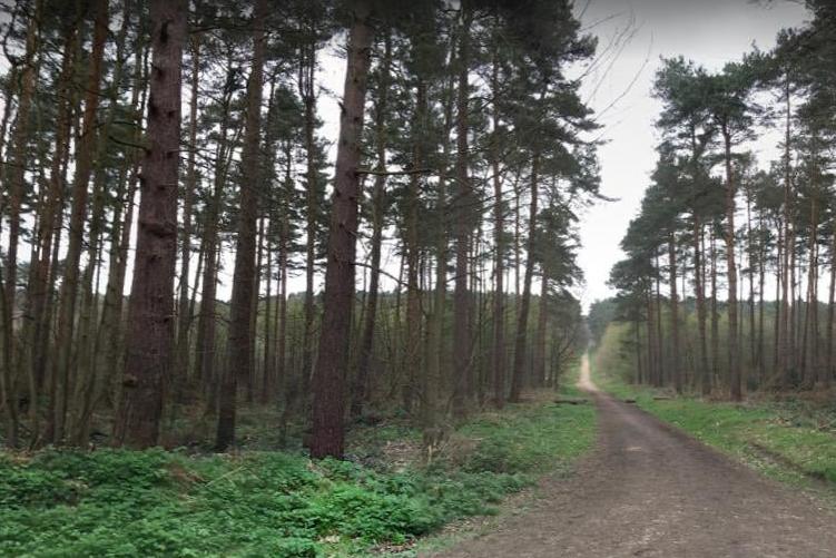 Blidworth Bottoms is another popular walking area that people can look forward to exploring over the Christmas holidays.