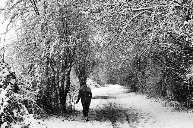 A perfect winter walk. From Ryan Lightfoot.
