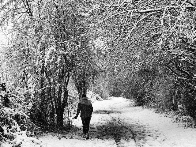 A perfect winter walk. From Ryan Lightfoot.