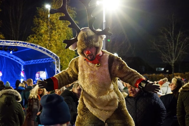 Rudolf broke out of his reins to enjoy the event.