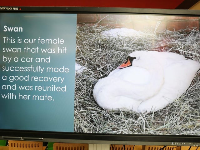 Students put together a presentation about the work that the charity undertakes.