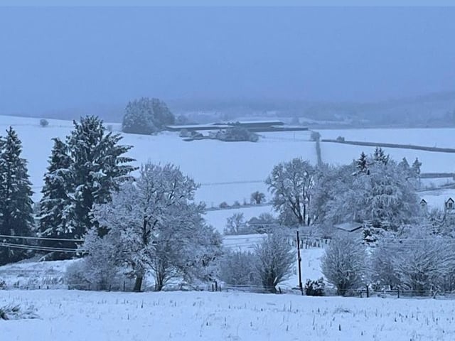 Gartmore, west of Stirling, had a visit from the snow pixies last night who decorated tree tops and plains in a winter wonderland of snow (Sue Wilson).