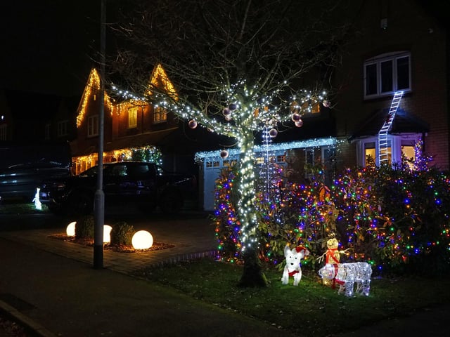 This year's display was raising money for Lashes and Jack of all Hearts.