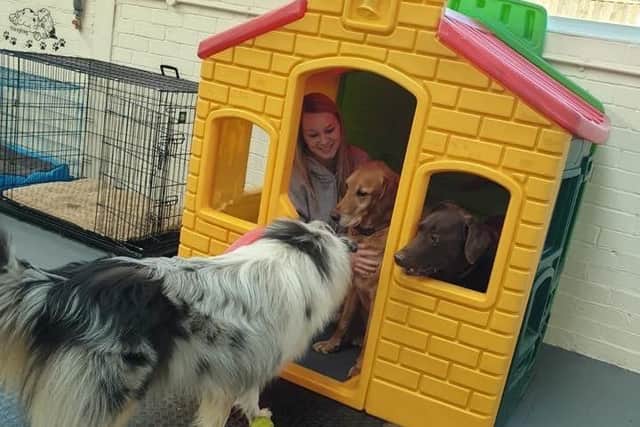 The new centre has plenty of things to keep dogs occupied all day.