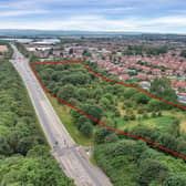 The woodland site off Clare Road in Sutton, and running alongside the A38, which is earmarked for 69 new houses.