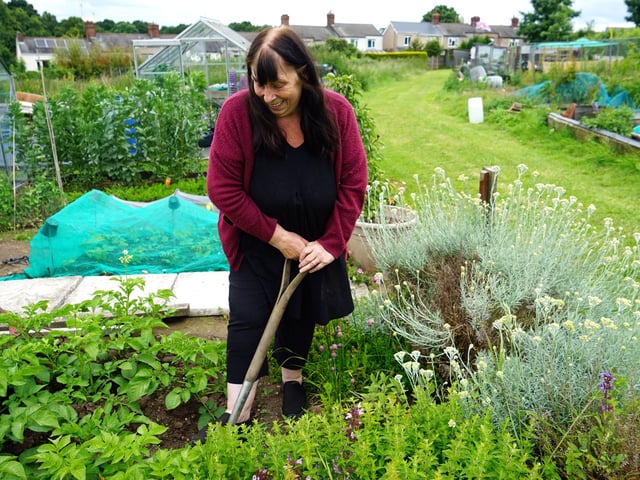 Jill Handrahan-Cook described the allotments as a 'village' in itself, full of community spirit.