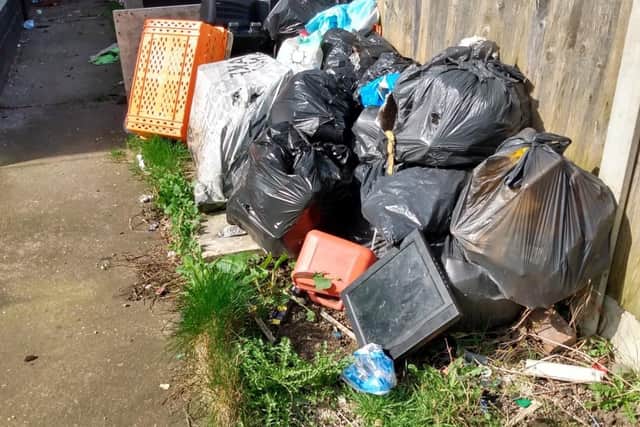 The waste build up in the garden.