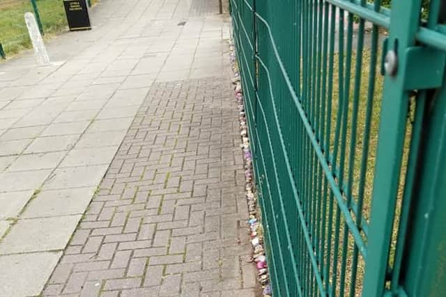 Covid the cobra snakes along the school fence - Picture Donna Buck