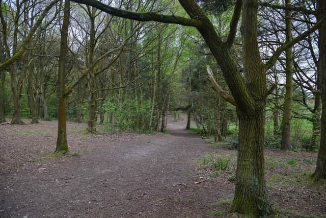 In a community alert emailed to residents, as seen by your Chad, Nottinghamshire Police confirmed they had received a call from a member of the public, alleging to have found an unexploded World War II device in the woods. Berry Hill Park.