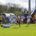 Mansfield Town on their way to defeat on Saturday against Crawley. Photo credit Chris & Jeanette Holloway / The Bigger Picture.media