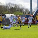 Mansfield Town on their way to defeat on Saturday against Crawley. Photo credit Chris & Jeanette Holloway / The Bigger Picture.media