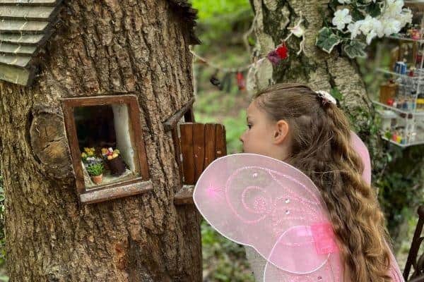 Enchanted Fairy Forest Returns!