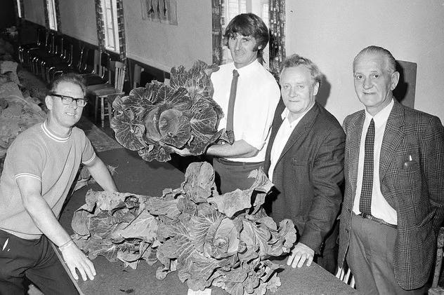 Cabbages are proudly displayed in Clipstone in 1973.