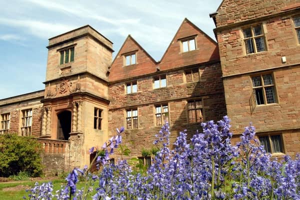 Janette Wilson said: "Rufford Abbey - Lake, Abbey ruins, gardens, woodland, adventure playground, cafe/restaurant, garden centre and gift shop. Everything is there, why go elsewhere?"