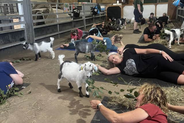 The yoga session which takes place in The Silver Barn at White Post Farm.
