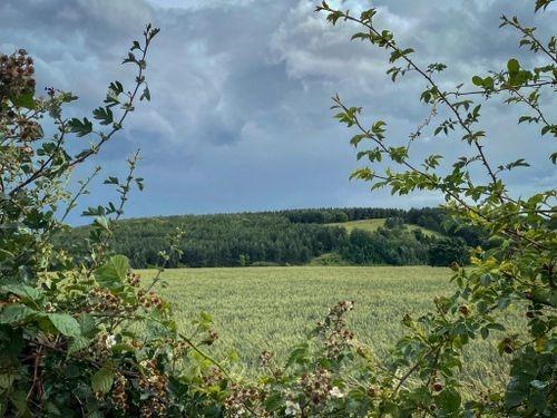 This is a wonderful circular route beginning in Mansfield Woodhouse that takes you along the banks of the River Meden and through Meden Trail Nature Reserve. This route is relatively flat and suitable for a wide range of ages and fitness levels. Rated: Moderate.