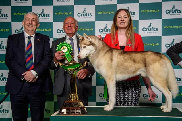 Pictured is Working Group winner Jess Allen with Akela the Siberian husky and judge Robin Newhouse and Linsay Hoyle Speaker of the House of Commons.