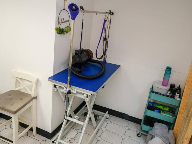 Inside the Transpawmation dog grooming salon.