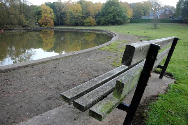 Mansfield's Berry Hill Park, which is to undergo a transformation to create a destination for families.