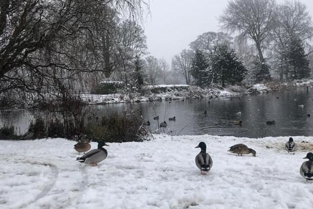 Charlotte Anne Young took this shot of Cusworth Hall pond.
