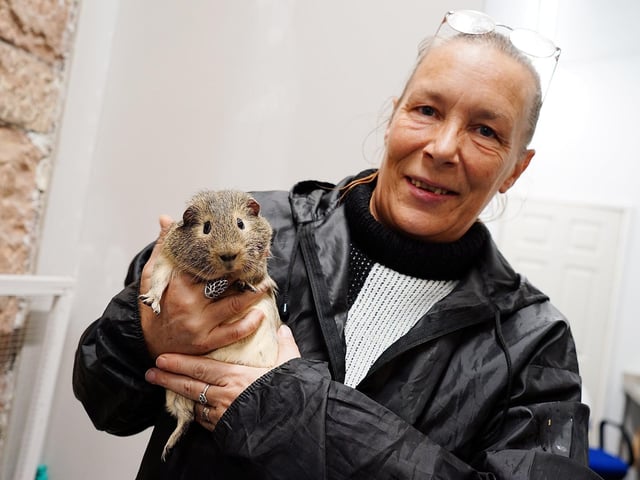 Our friends at Mansfield Wildlife Rescue have their own group where they share updates from the centre and engage with supporters. You can join the group here: https://www.facebook.com/groups/1664406497123506