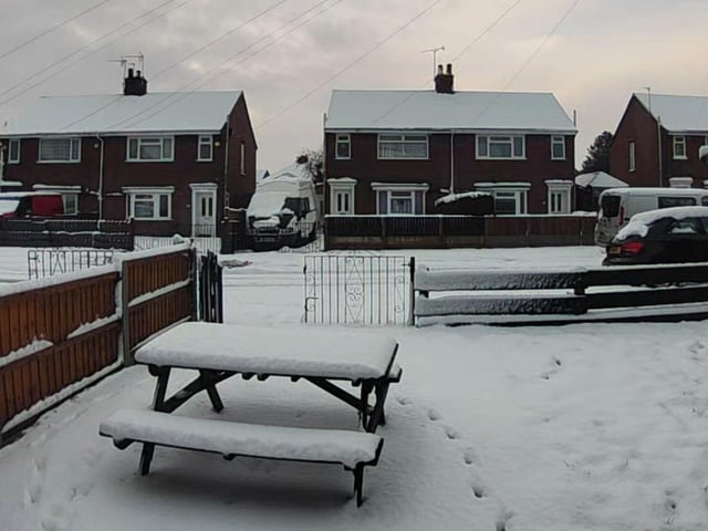 Sarah Madigan's front garden in Sutton on Friday morning.