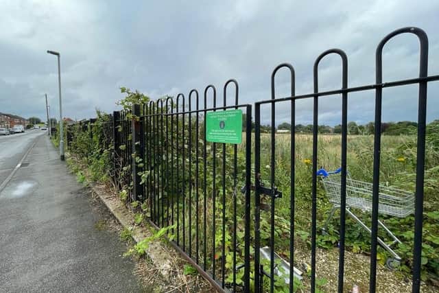 The allotment site off Broomhill Lane, Mansfield. (Photo by: Andrew Topping/Local Democracy Reporting Service)